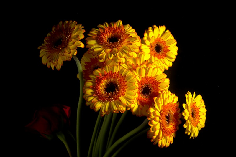 豪華雙層開張花牌